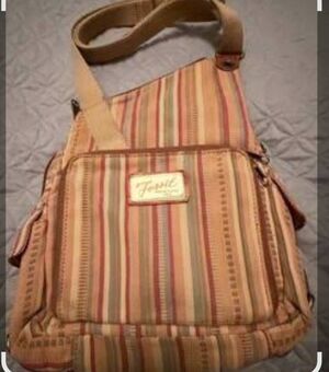 Fossil Crossbody earth tone colors